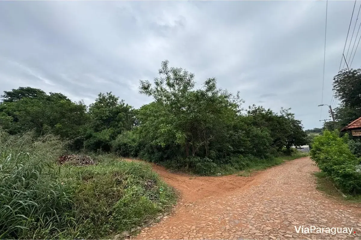 Terreno à venda em Limpio, Central