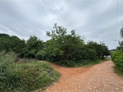 Terreno à venda em Limpio, Central