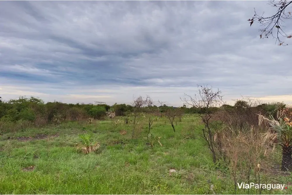 Terreno à venda em Limpio, Central