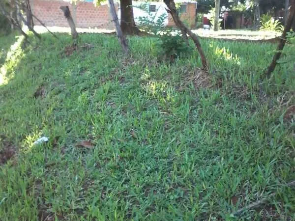 Land for Sale in Limpio, Col. Juan de Salazar — 1,600 m²