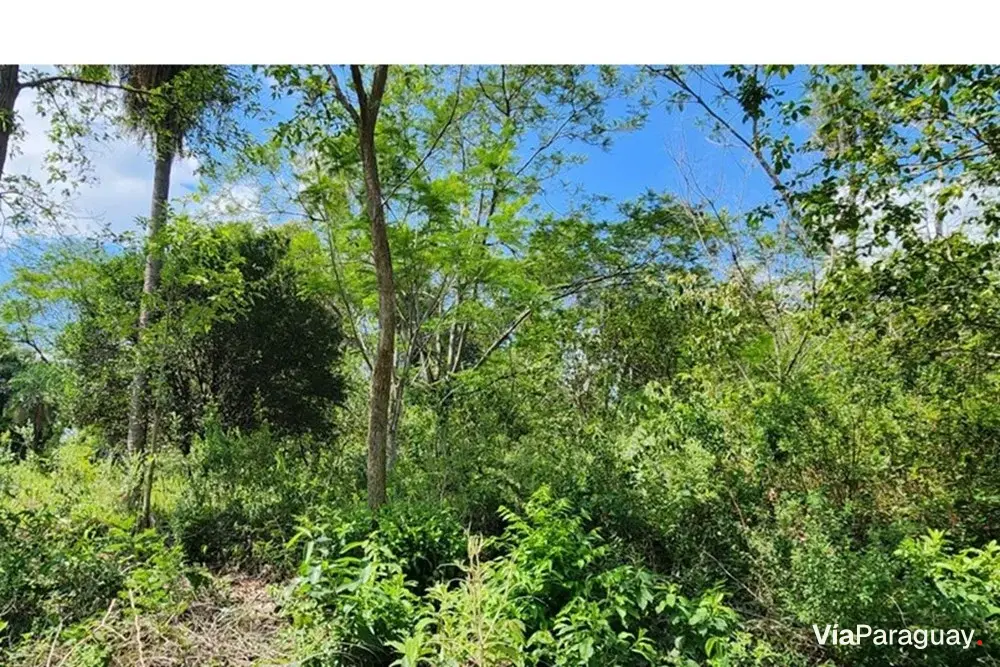 Terreno en venta en Limpio – Fracción Campo Alto