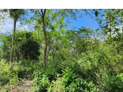 Terreno en venta en Limpio – Fracción Campo Alto
