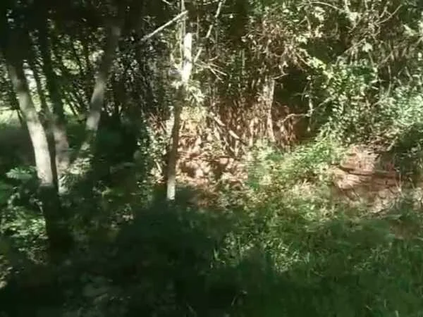 Terreno à venda em Limpio, Isla Aveiro — 468 m²