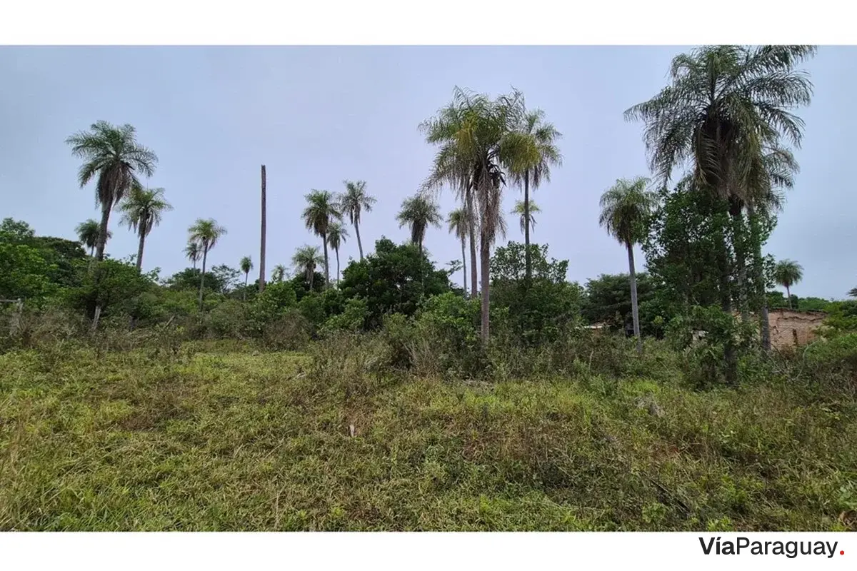 Land for sale in Loma Grande, Cordillera
