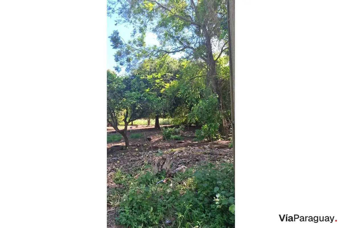 Terreno en venta en Loma Grande, Cordillera