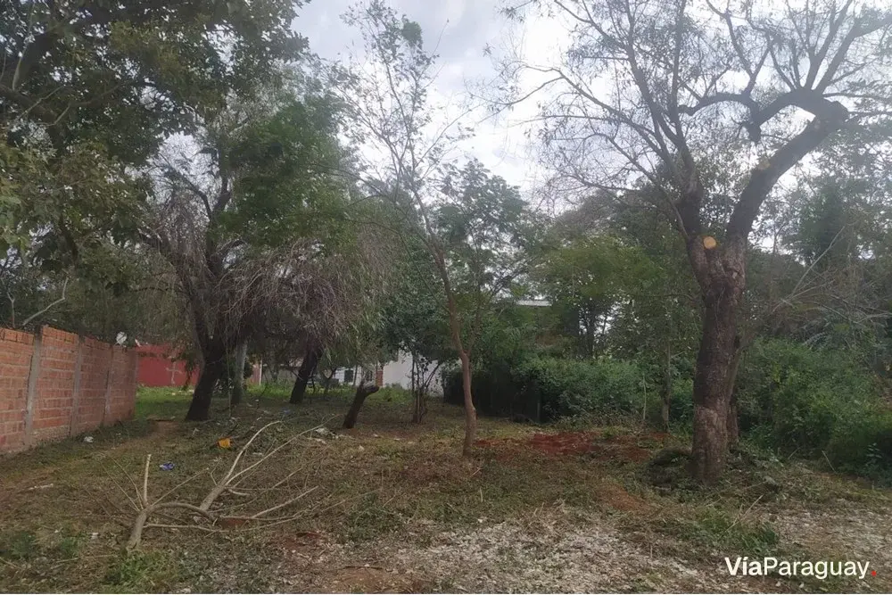 Terreno à venda em Loma Merlo, Luque