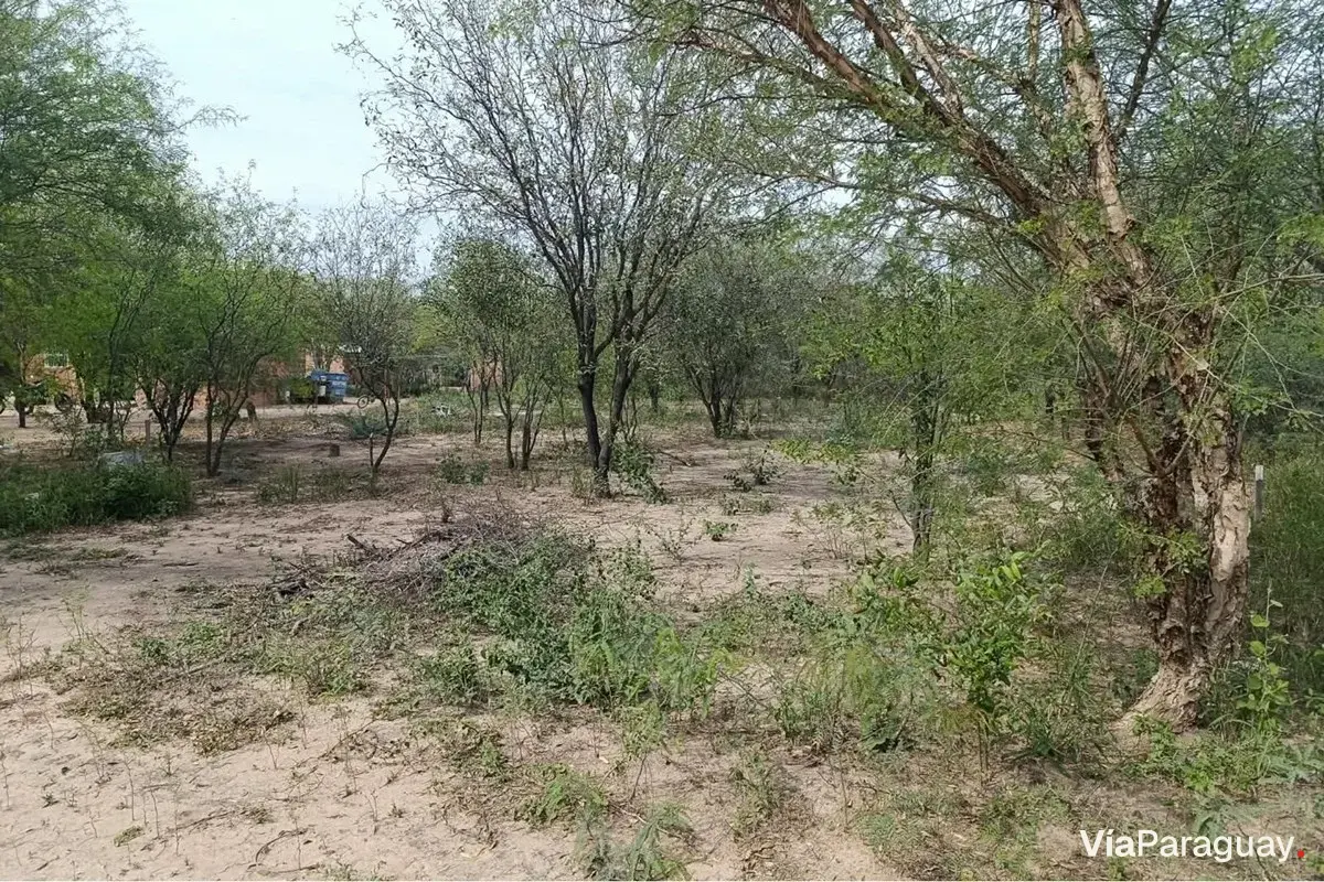 Terreno en venta en Loma Plata, Boquerón