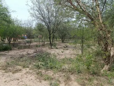 Terreno en venta en Loma Plata, Boquerón