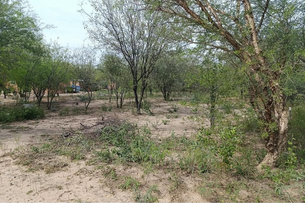 Terreno en venta en Loma Plata, Boquerón