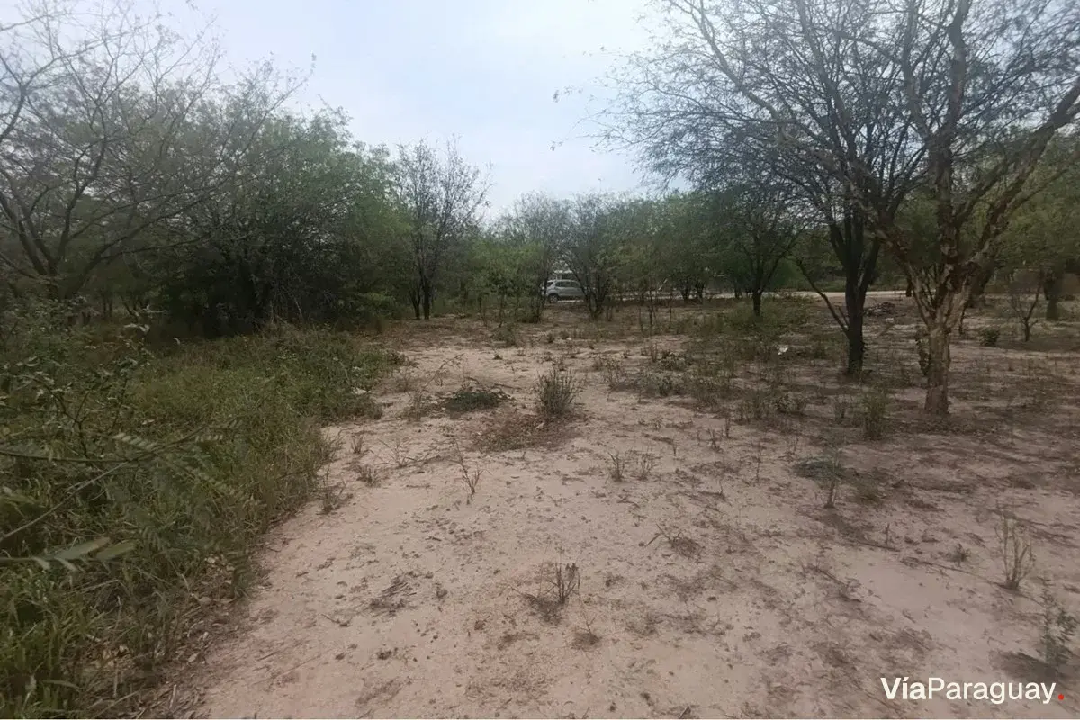 Terreno en venta en Loma Plata, Boquerón
