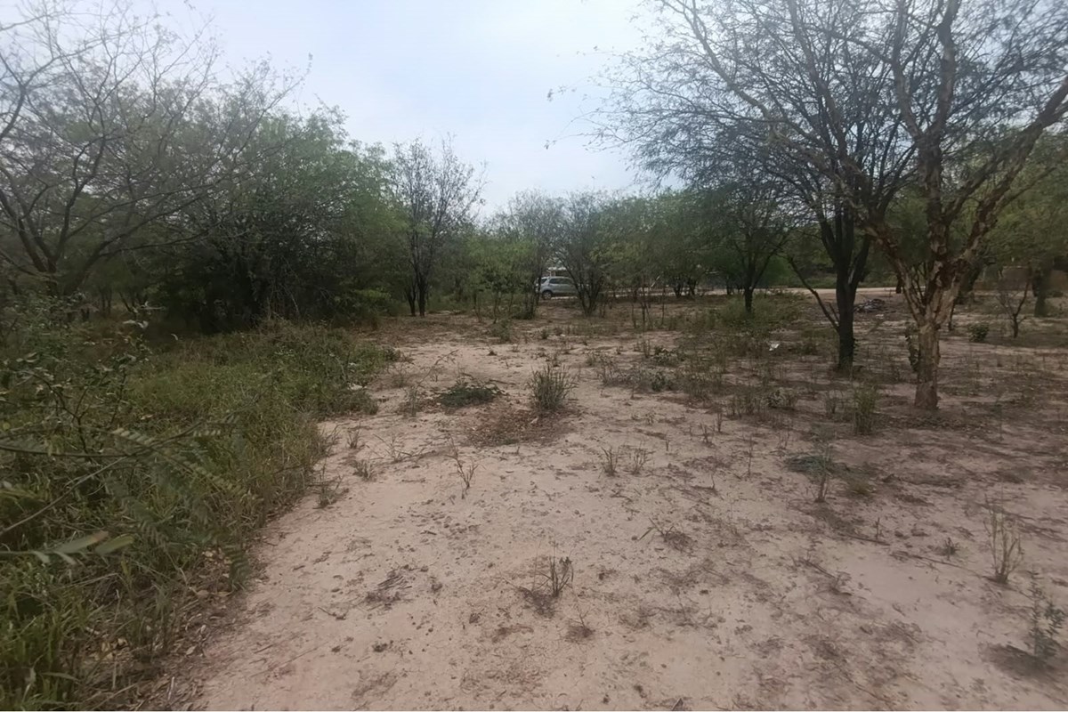 Terreno en venta en Loma Plata, Boquerón
