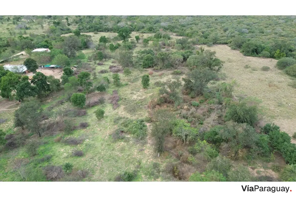 Terreno en venta en Loteamiento El Sendero, Loma Plata