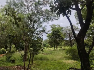 Terreno à venda em Luque, Central