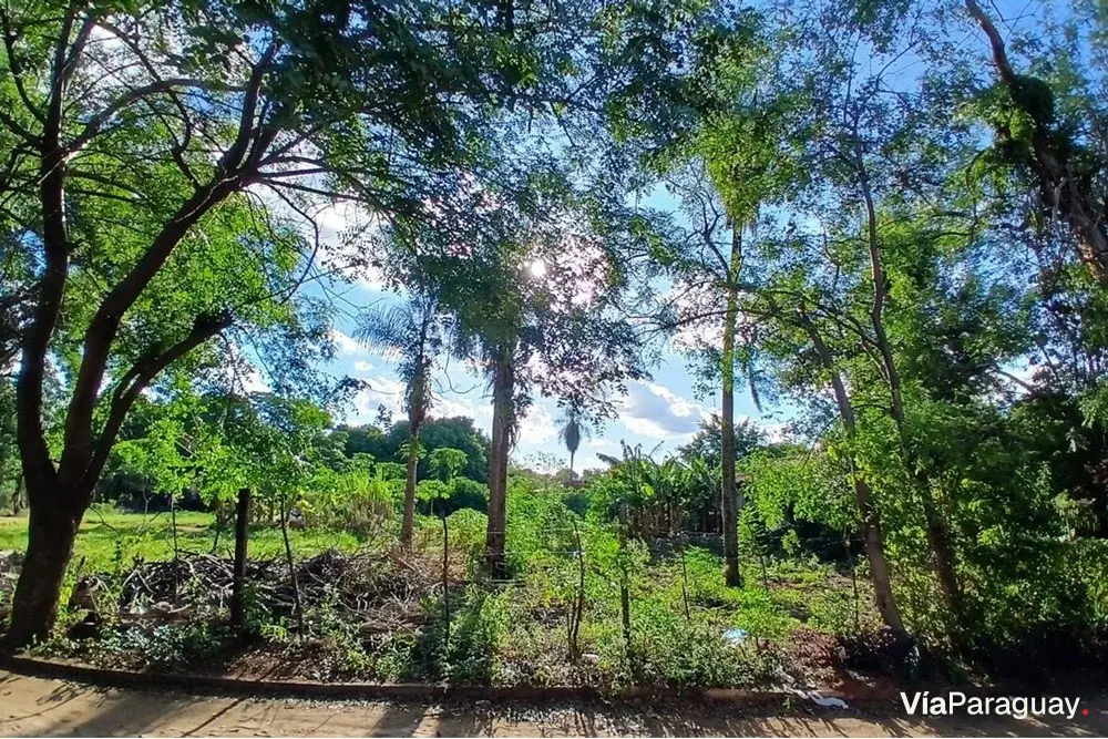Terreno à venda em Luque, Laurelty