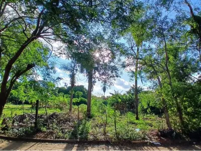 Terreno à venda em Luque, Laurelty