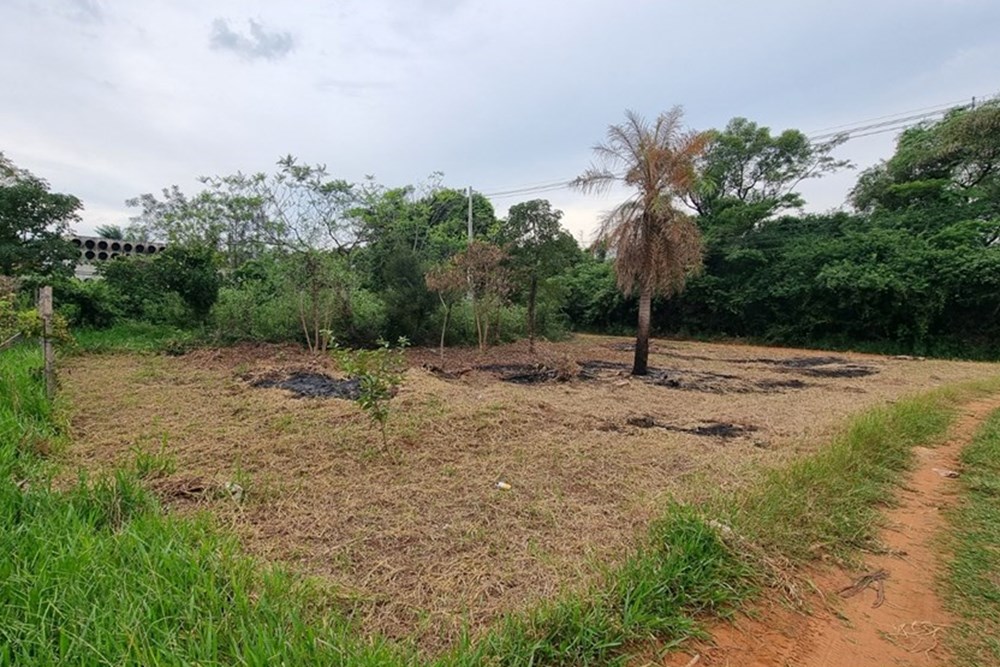 Terreno à venda em Luque, região de Rakiura