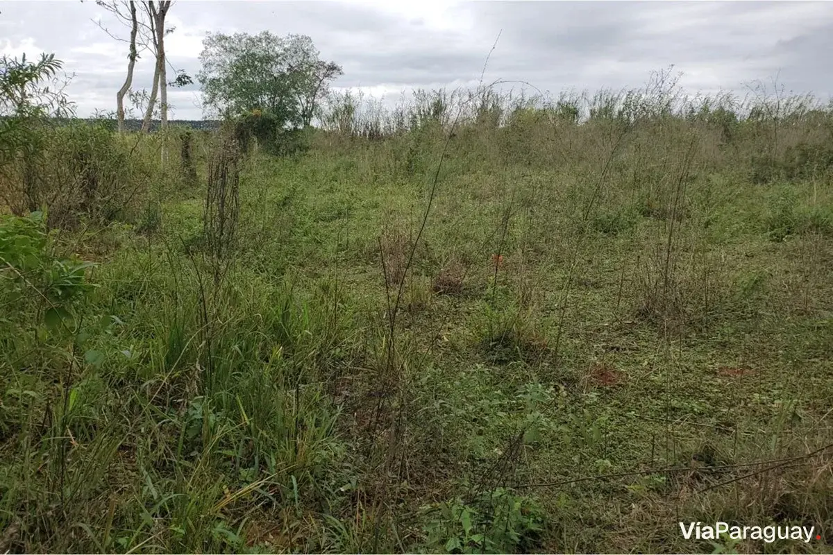 Terreno en venta en Maracaná, Curuguaty - 6.750 m²