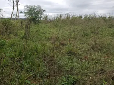 Terreno en venta en Maracaná, Curuguaty - 6.750 m²