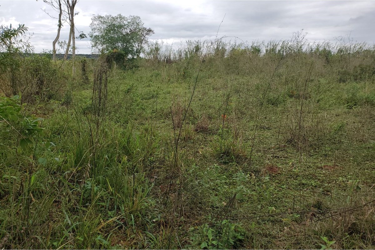 Terreno en venta en Maracaná, Curuguaty - 6.750 m²