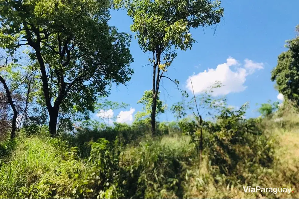 Terreno à venda em Mariano Roque Alonso, Remanso