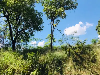 Terreno à venda em Mariano Roque Alonso, Remanso