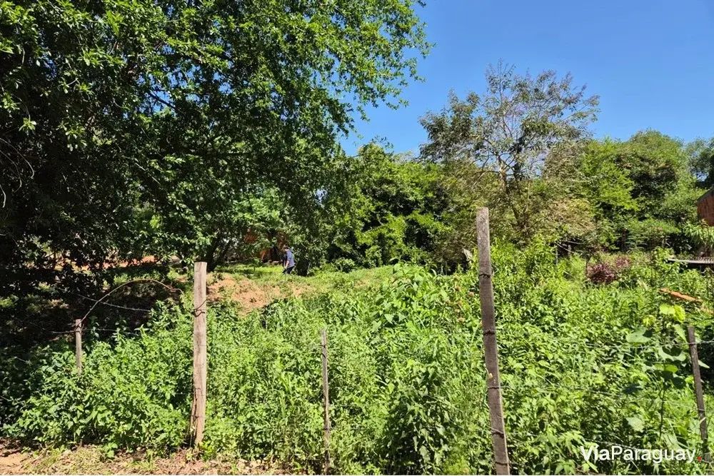 Terreno à venda em Mariano Roque Alonso, Central