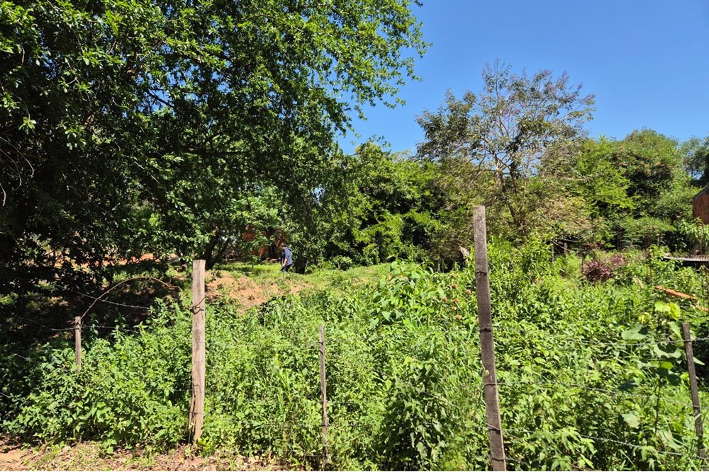 Land for sale in Mariano Roque Alonso, Central