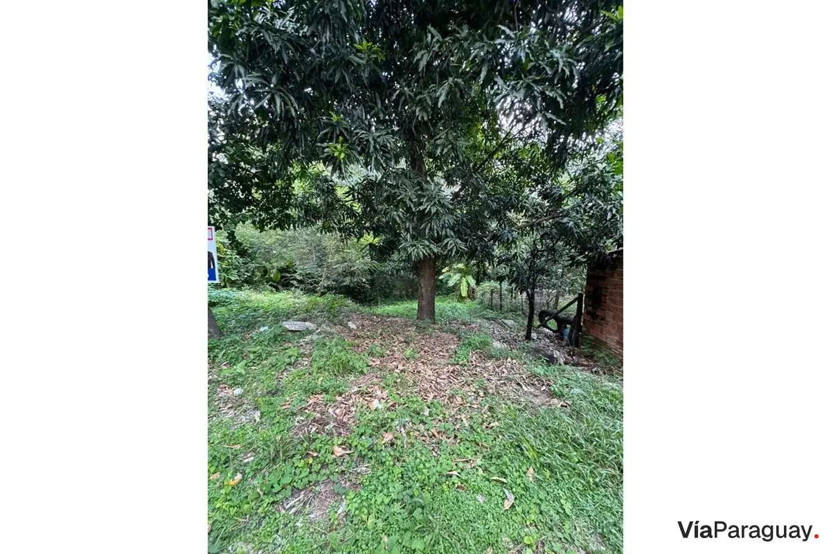 Terreno à venda em Mariano Roque Alonso, Central