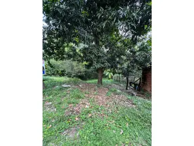 Terreno à venda em Mariano Roque Alonso, Central