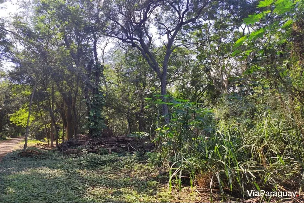 Terreno à venda em Mariano Roque Alonso, Central