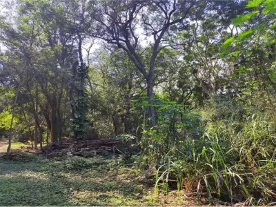 Terreno à venda em Mariano Roque Alonso, Central 1