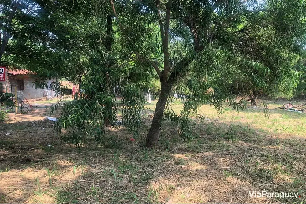Terreno à venda em Mariano Roque Alonso, Central