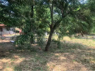 Terreno à venda em Mariano Roque Alonso, Central