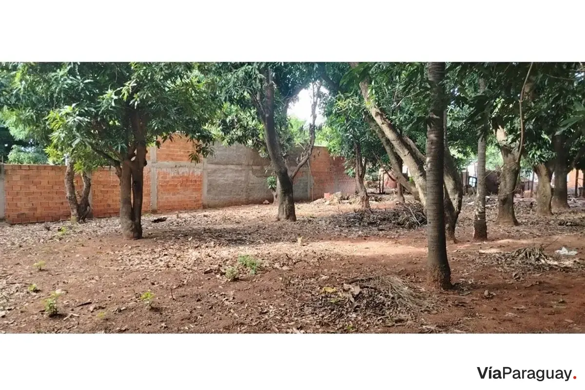 Land for sale in Marin Ka'aguy, Luque