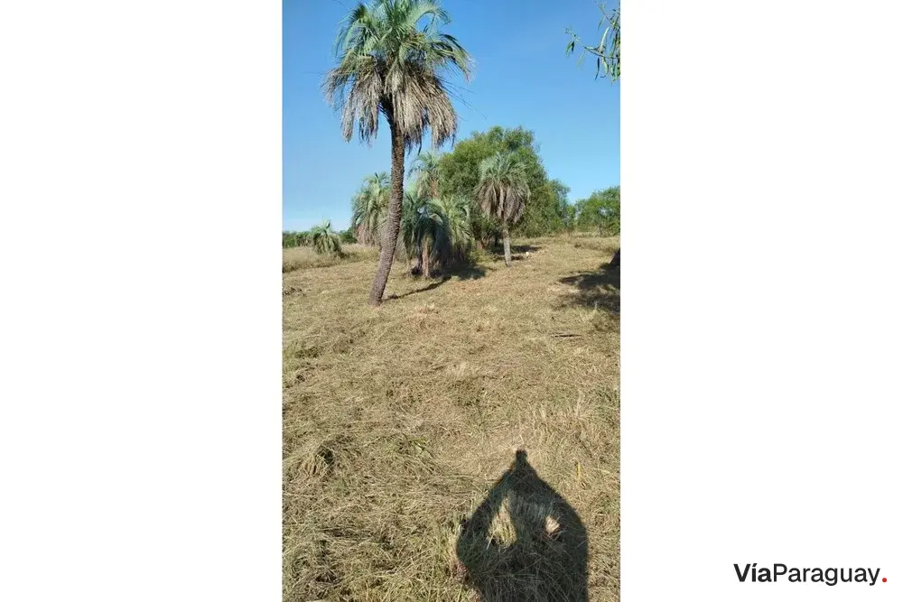Terreno à venda em Mayor Martínez, Ñeembucú