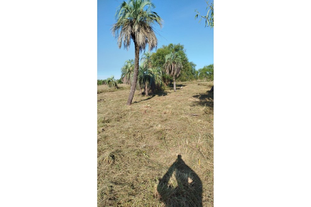 Terreno à venda em Mayor Martínez, Ñeembucú