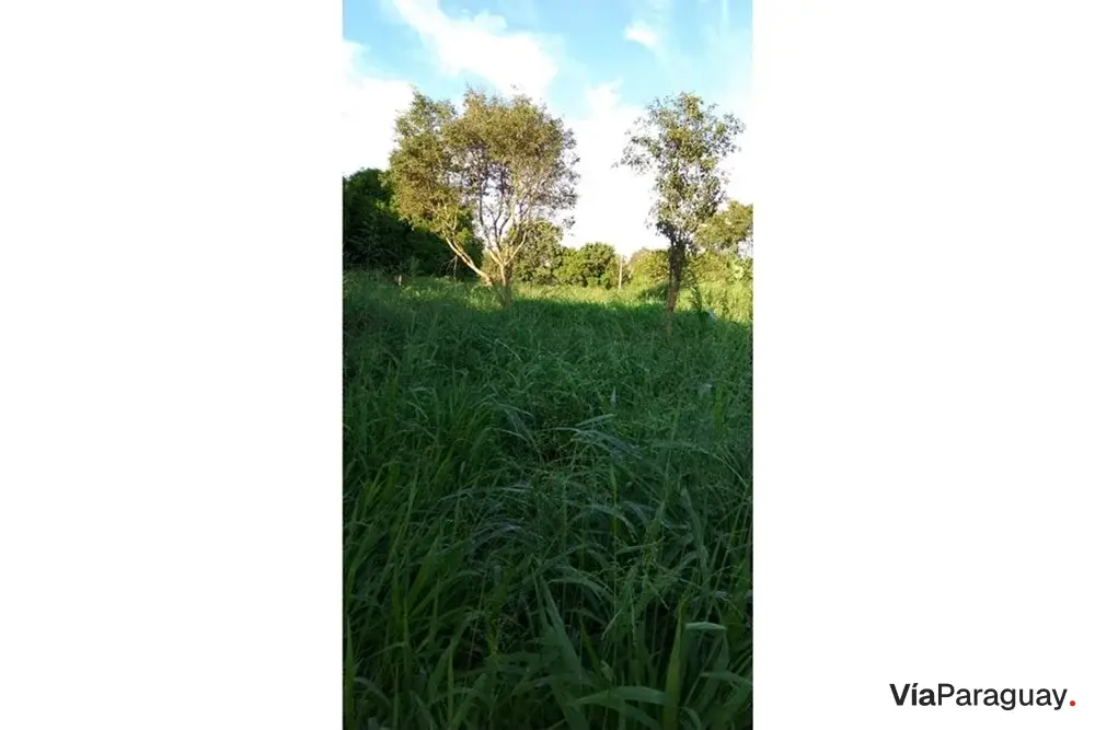 Terreno en venta en Minga Guazú, Alto Paraná