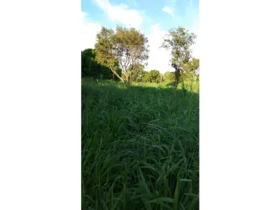 Terreno en venta en Minga Guazú, Alto Paraná