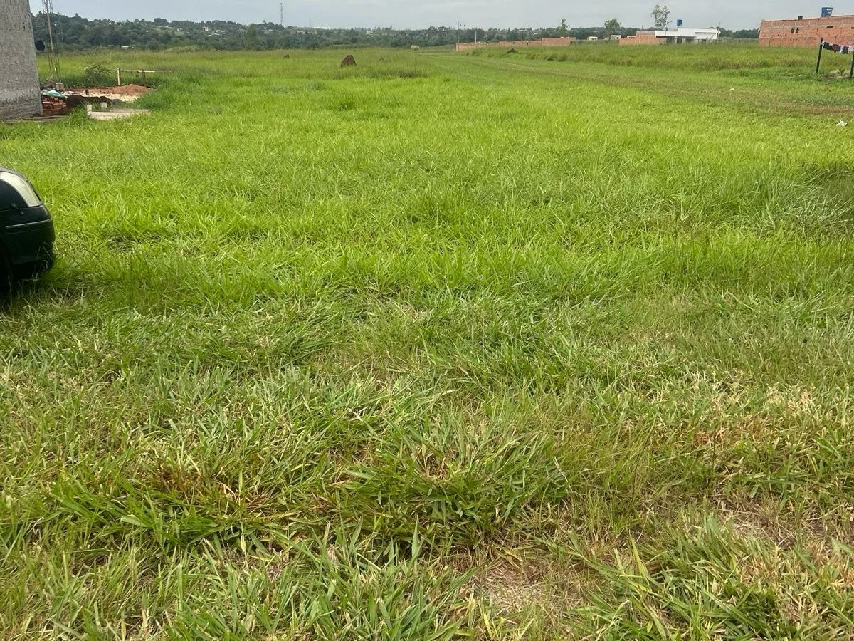 Land for sale in Minga Guazú, Alto Paraná