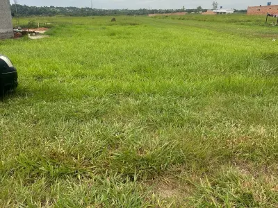 Land for sale in Minga Guazú, Alto Paraná
