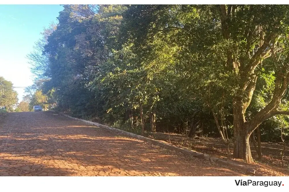 Land for sale in Minga Guazú, Alto Paraná