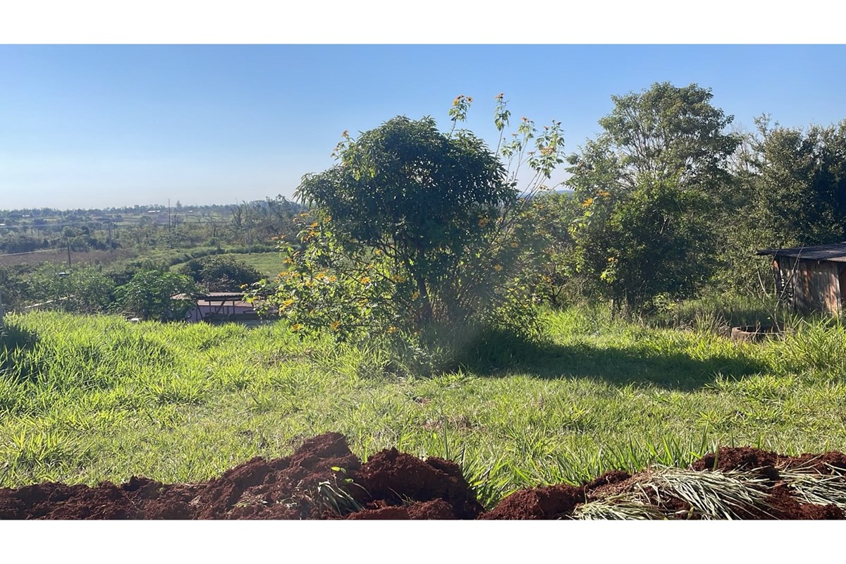 Terreno en venta en Minga Guazú, Alto Paraná