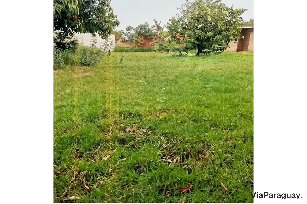Terreno en venta en Minga Guazú, Alto Paraná