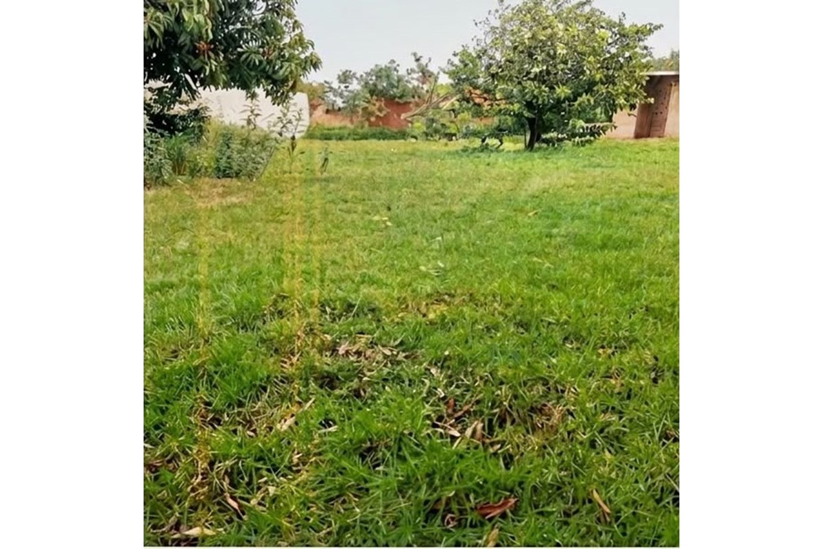 Terreno à venda em Minga Guazú, Alto Paraná