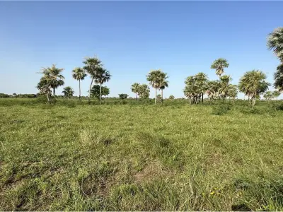 Terreno à venda em Montepila Norte, Villa Hayes