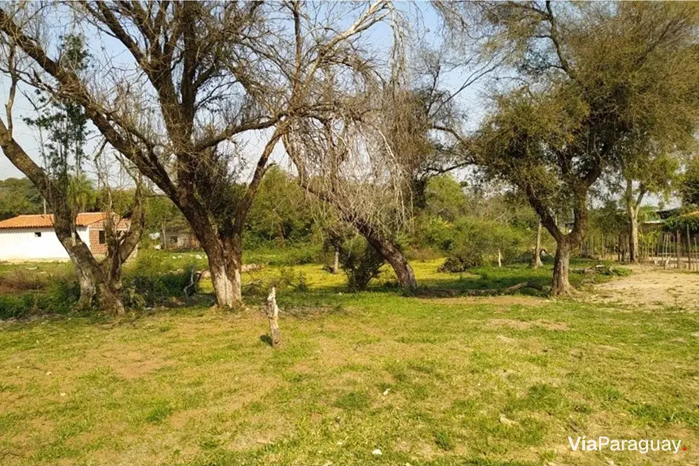 Terreno à venda em Mora Kue, Luque