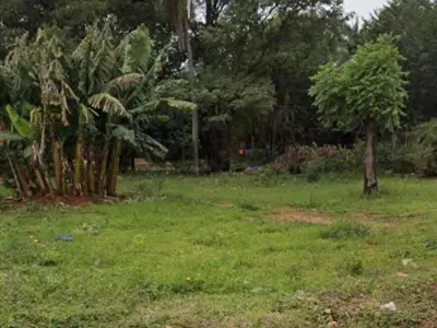 Terreno à venda em Mora Kue, Luque: 3 lotes