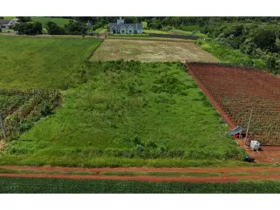 Terreno en venta en Naranjal, Alto Paraná
