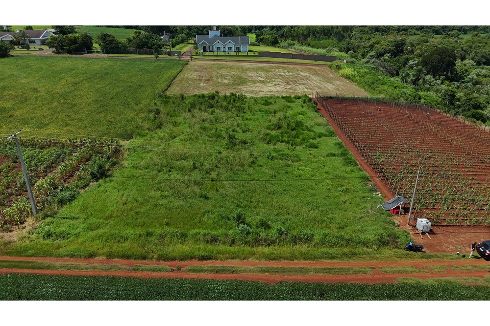 Land for sale in Naranjal, Alto Paraná