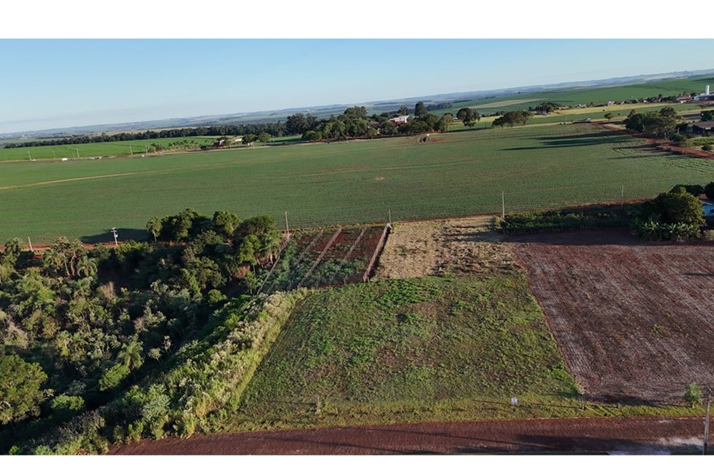 Land for sale in Naranjal, Alto Paraná